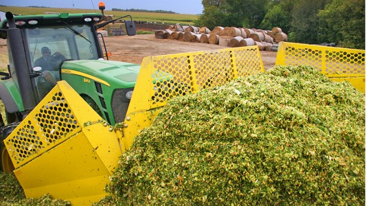 Підготуйте свій швидкий сік.